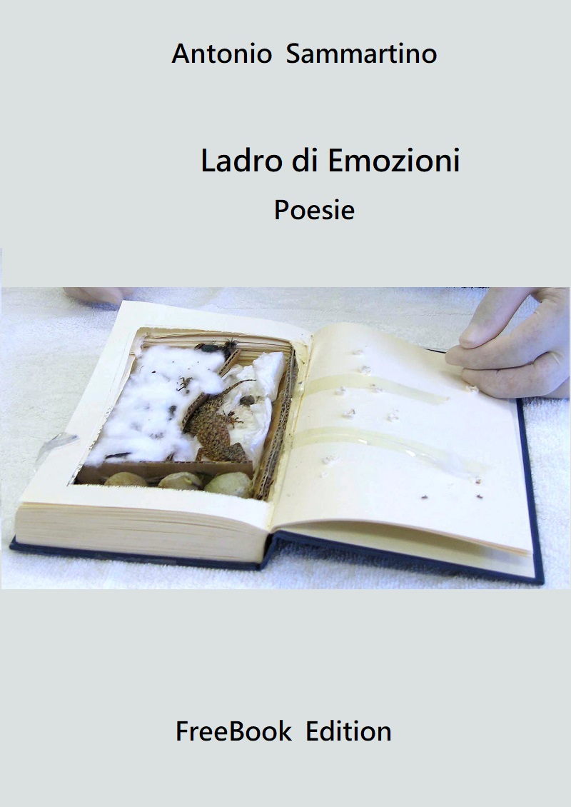Book-37.jpg